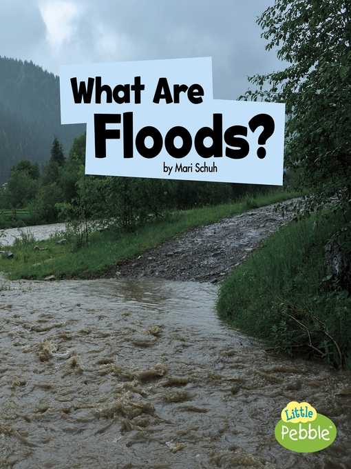 Title details for What Are Floods? by Mari Schuh - Available